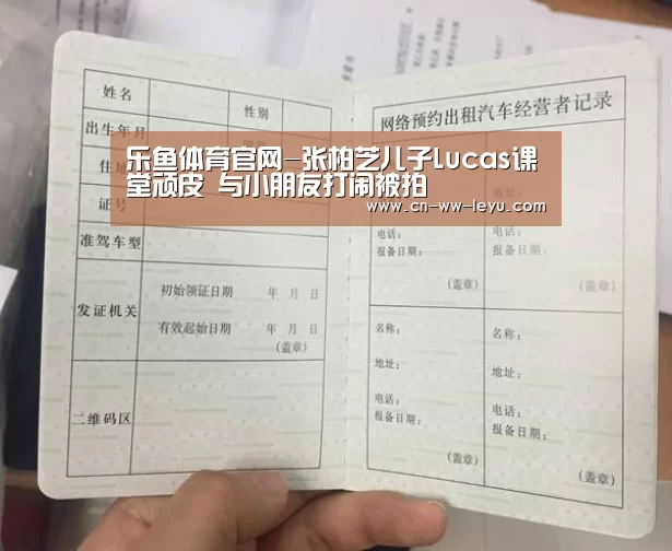 乐鱼体育官网-张柏芝儿子Lucas课堂顽皮 与小朋友打闹被拍(图1) leyu乐鱼