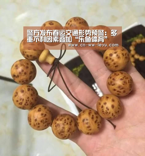 警方发布春运交通形势预警:多重不利因素叠加“乐鱼体育”(图3) leyu cc