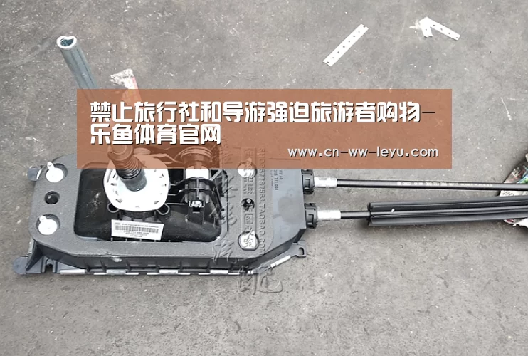 禁止旅行社和导游强迫旅游者购物-乐鱼体育官网(图1) leyu cc