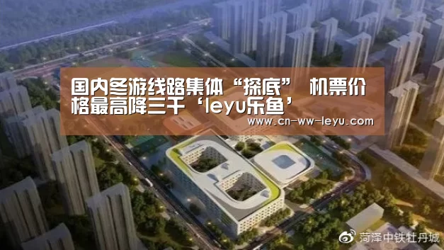 国内冬游线路集体“探底” 机票价格最高降三千‘leyu乐鱼’(图2)